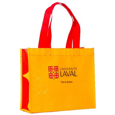 Fashion Laminated Shopper Bag (12"x 14"x 5")