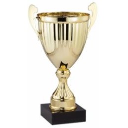 14" Assembled Gold Cup Trophy