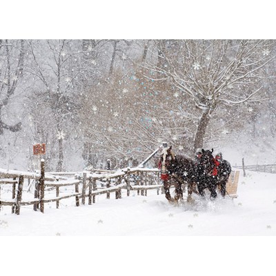 Snowy Sleigh Ride