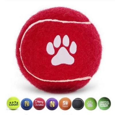 Pet Fetch Toy Tennis Ball