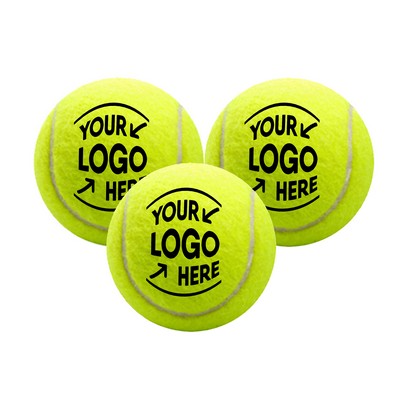 Training Tennis Ball Pet Toy