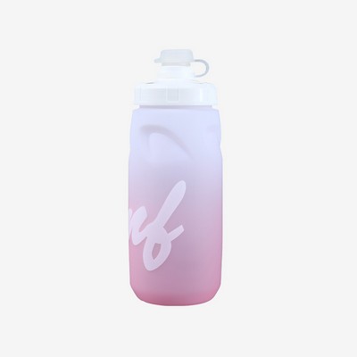 20oz Plastic Water Bottles with Push Cap