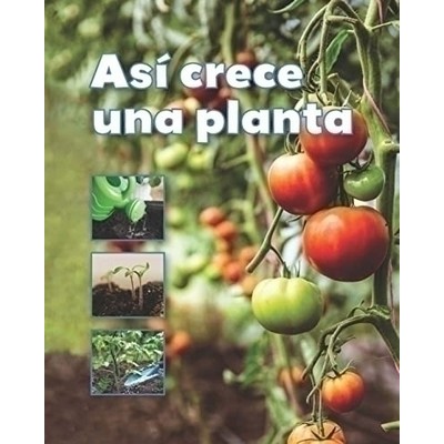 Así crece una planta (Spanish Edition)