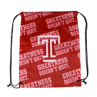 210D Polyester Drawstring Backpack