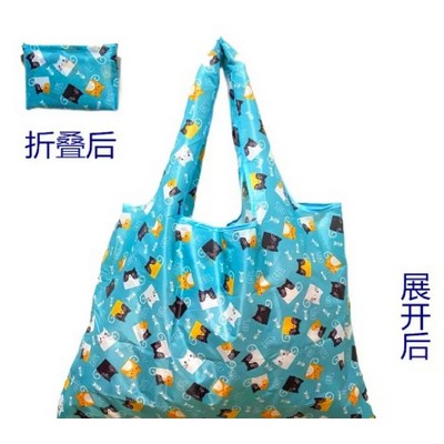 Household shopping bag