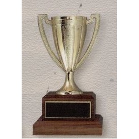 5" Plastic Trophy Cup on Wood Base