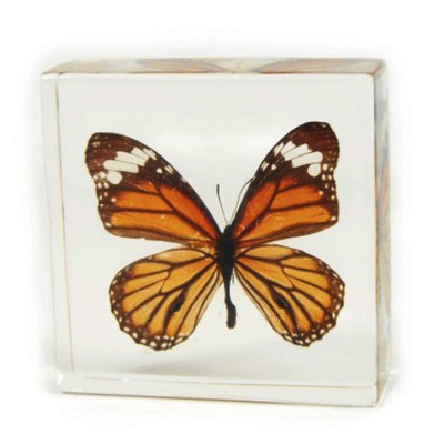 Lucite Paperweight with Real Butterfly, 3 x 3 x 1 1/8"