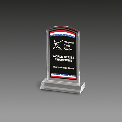 Freedom Corporate Stars Stripes Award™ (5"x6¾")