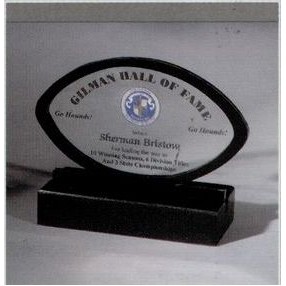 Custom Shape Black Framed Acrylic Award in Wood Base (4"x6")