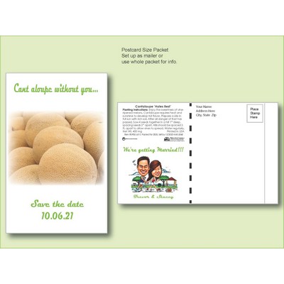 Organic Cantaloupe 'Honey Rock' Seed Packet - Postcard Mailer Size (4" x 6.5")