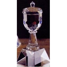 Small Trophy Cup Award