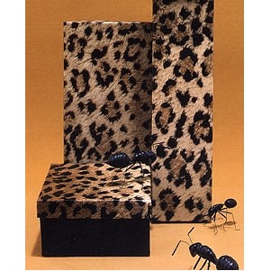 Leopard Print 2 Piece Fiber Filled Jewelry Box (2 7/8"x1 5/8"x13/16")