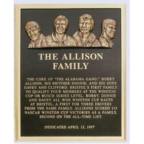 Cast Bronze Plaques (2"x8")