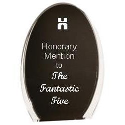 Luminary Oval Acrylic Award Black/Clear - 8" High