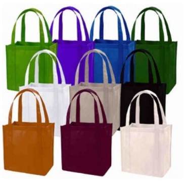 Non-Woven 100 Grams Eco Friendly Grocery Shopping Tote w/Plastic Insert