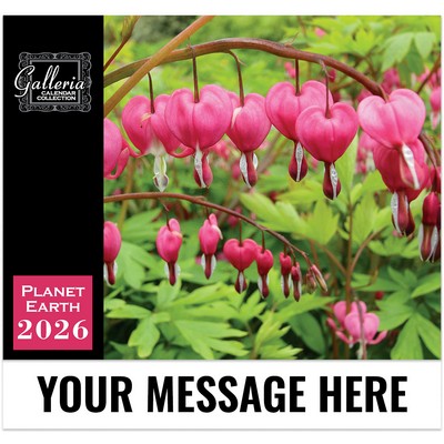 Galleria Wall Calendar 2026 Planet Earth