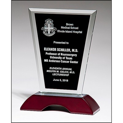 Clear Glass Award with Black Silk Screened Center (6"x9")