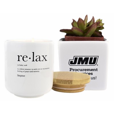 Live Succulent Plant And Candle Desktop Gift Set