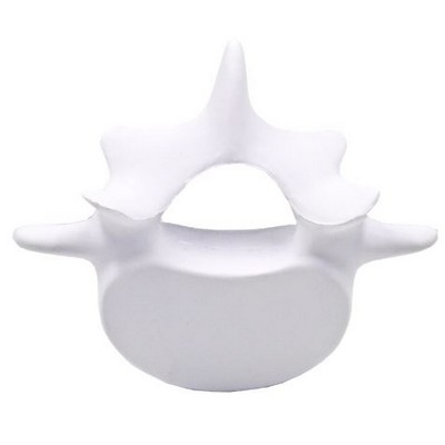 Vertebrae Stress Reliever Squeeze Toy