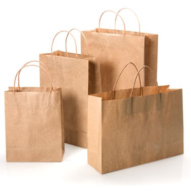 Brown Kraft Paper Bag w/Twisted Paper Handles (16"x6"x12 3/8")