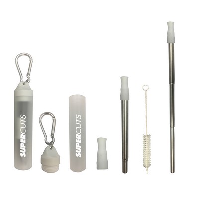 Travel Straw Stainless Steel Set