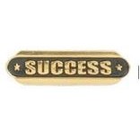 Success Stock Die Struck Pin