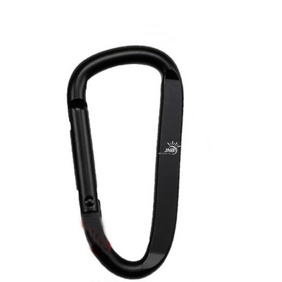 Secure D-Ring Carabiner Lock