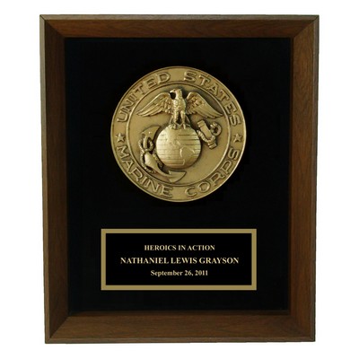 9"x12" Marine Seal Shadow Frame Award