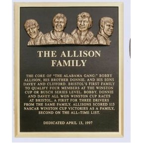 Cast Bronze Plaques (18"x24")