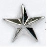 Silver Star Stock Casting Lapel Pin