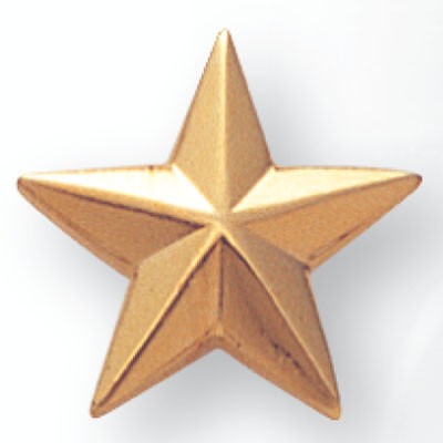 5/8" Die Struck Gold Plated Modeled Star Pin