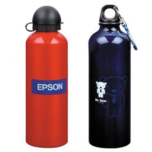 750 Ml Aluminum Sports Bottle w/ Detachable Carabiner