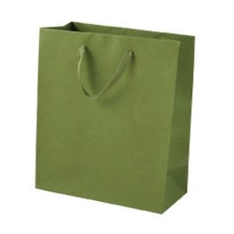 Jungle Green Cub Recycled Paper Eurotote Bag