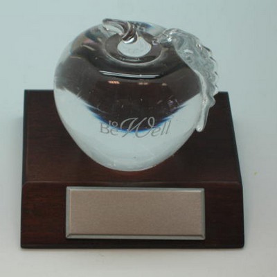 Optical Glass Apple Award