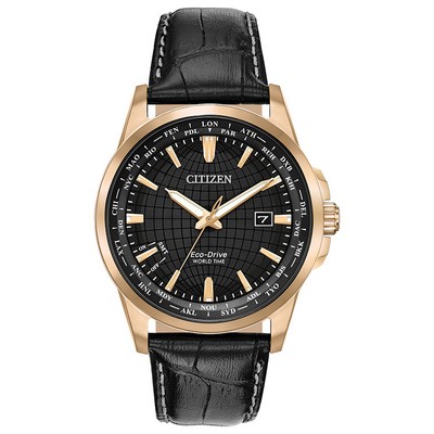 Citizen Men's Eco-Drive World Time Watch