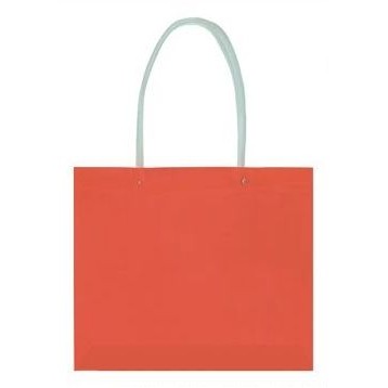 Casual Clear Tote Bag