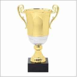 22" Gold Metal Cup Winner Award