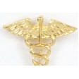 Caduceus Symbol Stock Casting Lapel Pin