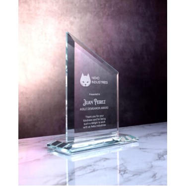 Starfire Clip Award (9"x6 ½"x½")