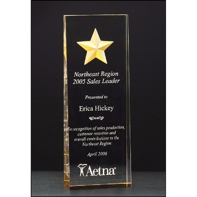 Constellation Acrylic Award with Etched Gold Star (2 7/8" x 8")