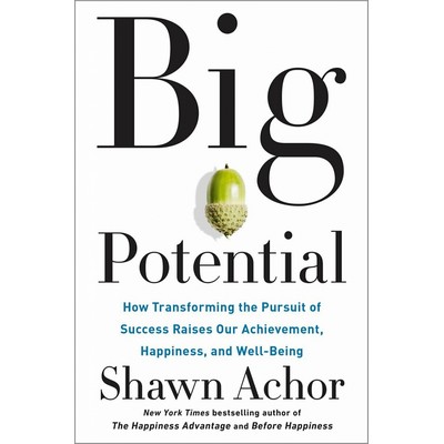 Big Potential (How Transforming the Pursuit of Success Raises Our Achieveme