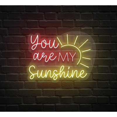 You Are My Sunshine Neon Sign