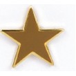 Gold Star Stock Casting Lapel Pin