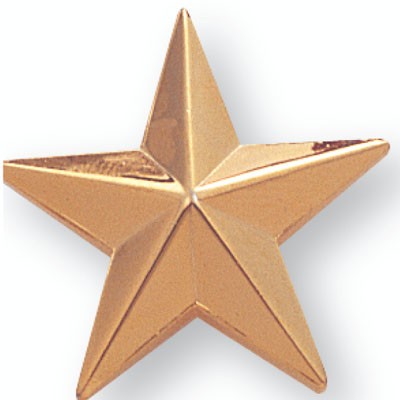 1" Die Struck Gold Plated Modeled Star Pin