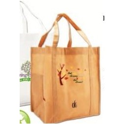 Non-Woven PP Take-Out Bag (13"x10"x15"x10")