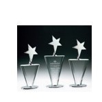 Medium Winner's Star Award