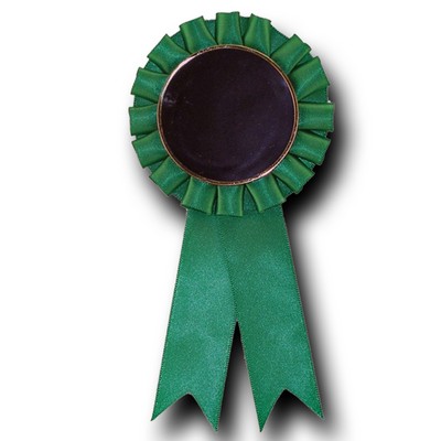 2 Fishtail Streamer Rosette Ribbon / Green (3"x6 1/2")