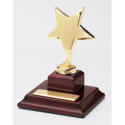 "Shining Star" Award