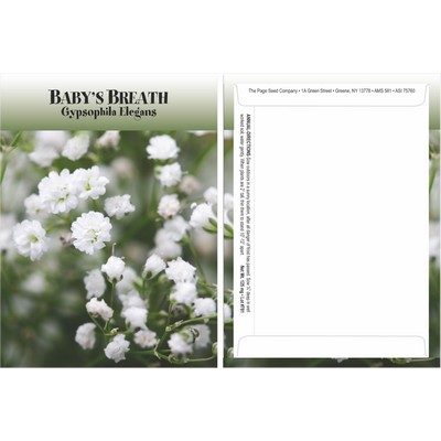 Standard Series Baby's Breath Seed Packet