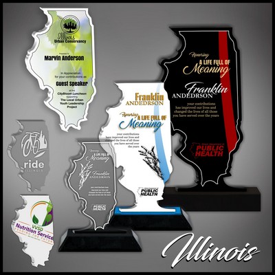 10" Illinois Black Budget Acrylic Award